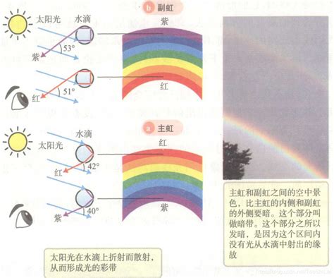 彩虹是怎麼形成的 桂花意思
